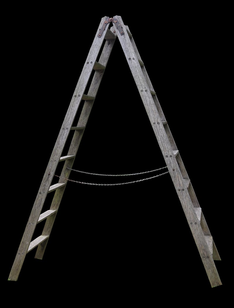 Ladder Shelf